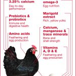 infographic-1-layer-feed-nutrients