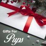 gifts-for-pups-300×300