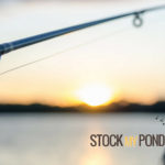 Stock My Pond Fishing Pole