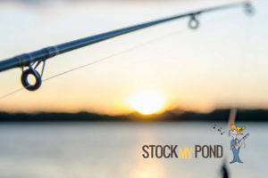 Stock My Pond | Argyle Feed Store