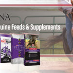 Argyle Feed_Purina Performance Equine Feeds & Supplements_Slider
