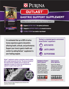 Purina Outlast Gastric Support Supplement