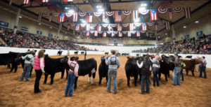 2019-2020 Livestock Shows 