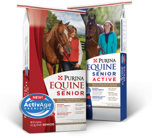 Equine Senior