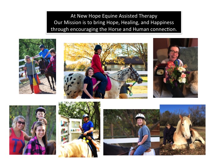 New Hope Equine Assisted Therapy