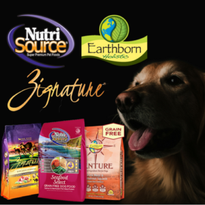 3 New Dog Food Brands