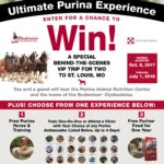 Purina Experience_Final_low