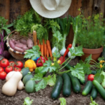 Vegetables and garden