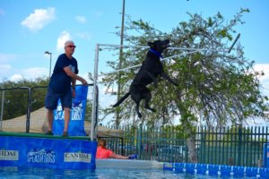 Splash Dogs Dock Jumping Event | Argyle Feed Store