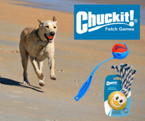 Chuck It Dog Toys Sale | Argyle Feed Store