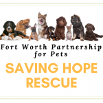 Saving Hope Rescue
