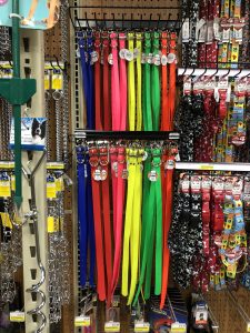 Dog Collars | Argyle Feed Store