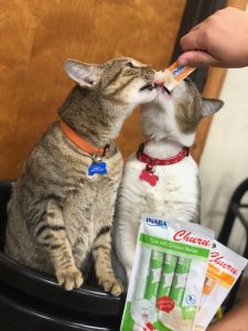 Churu Cat Treats | Argyle Feed Store