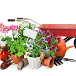 Lawn & Garden