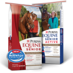 EquineSeniorPairingNov2014-300×272.png