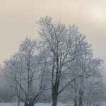 Hunting tower in harsh winter in the Lithuanian field