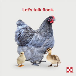 Flock Talk Workshop