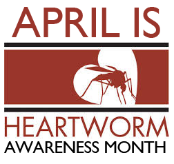 Heartworm Awareness Month