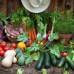 Vegetables-and-garden-300×213.png