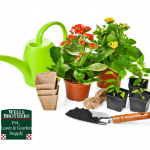 Gardening Wells Canva