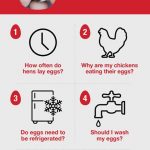 chicken FAQs