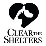 clear the shelter