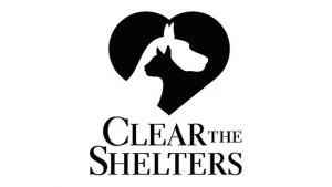 Clear the Shelter