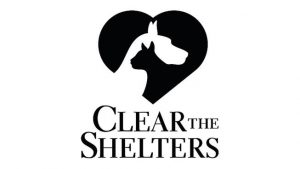 Clear the Shelters