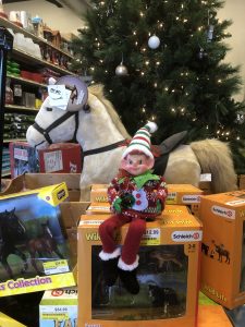 Elf on the Shelf Contest