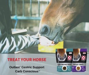 outlast gastric support carb conscious