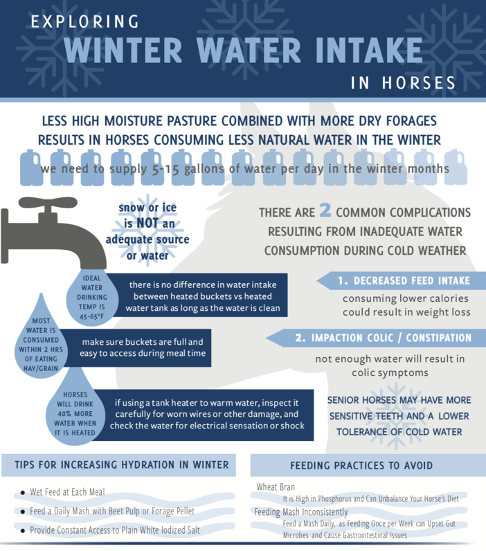 Get Your Horse to Drink More Water During Winter Chart