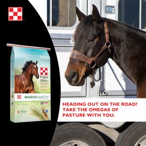Omega Match Ration Balancer Promotion. Brown horse and white trailer.