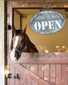 We're Open. Visit Argyle Feed & Hardware Store today. Brown Horse in stable.