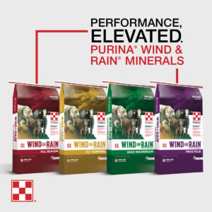 Optimize Cattle Mineral Consumption for Each Season. Purina Accuration Hi-Fat Supplements