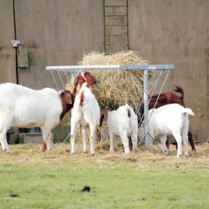 Hay Feeders