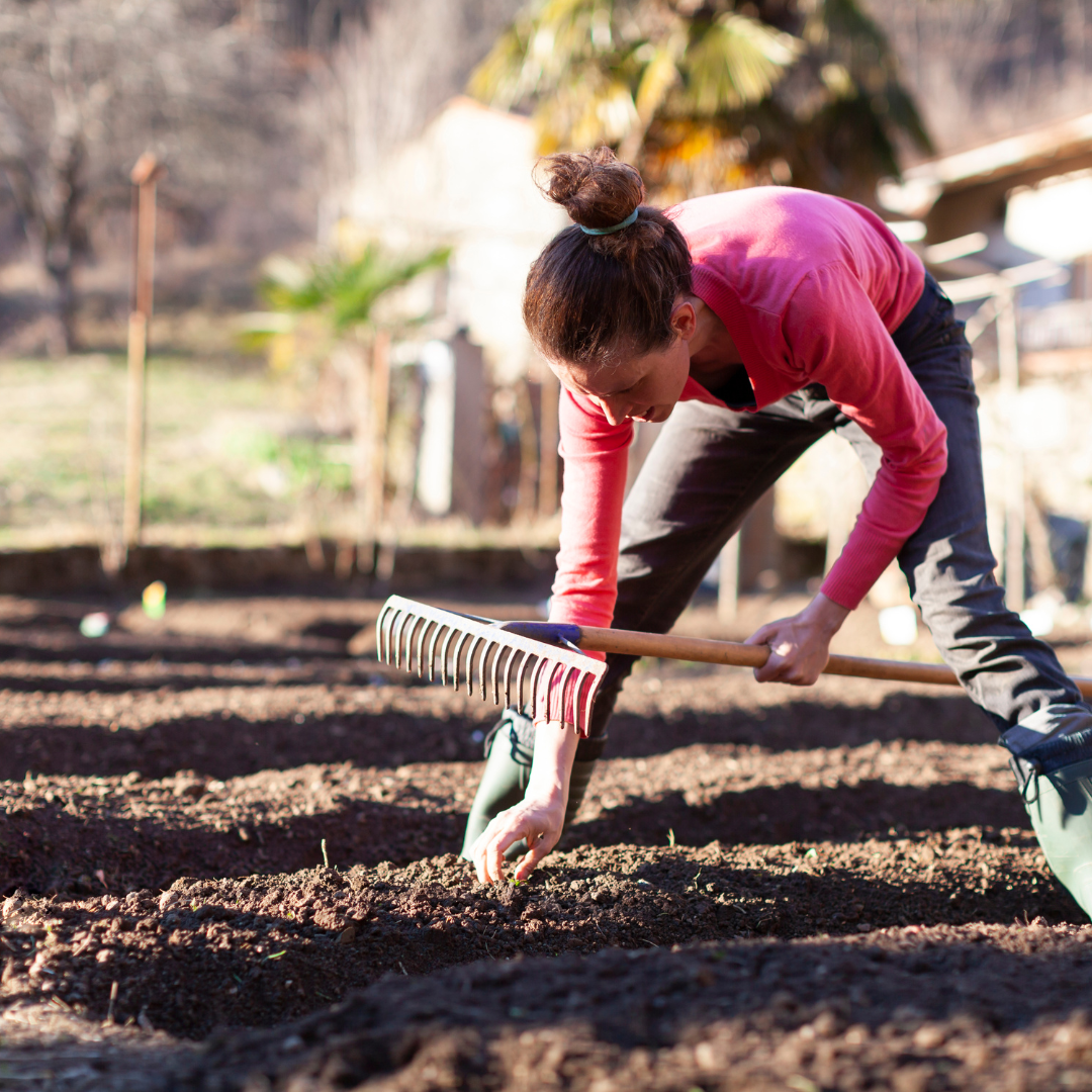 Planning a garden