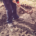 Tilling a garden