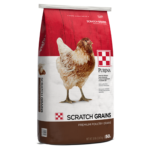 Purina Scratch Grains 50-lb bag